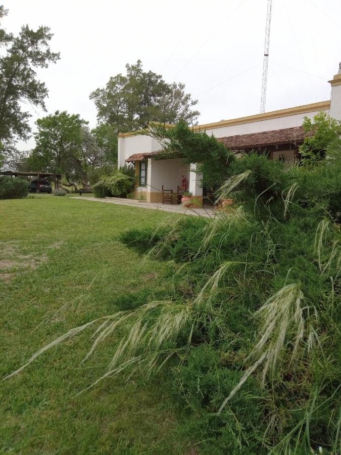 Hospedaje El Rincon San Antonio de Areco Ngoại thất bức ảnh